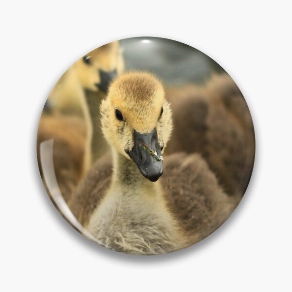 Item preview, Goslings 2 designed and sold by Fazzle14711.