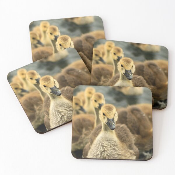 Item preview, Goslings 2 designed and sold by Fazzle14711.