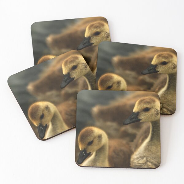 Item preview, Goslings 1 designed and sold by Fazzle14711.