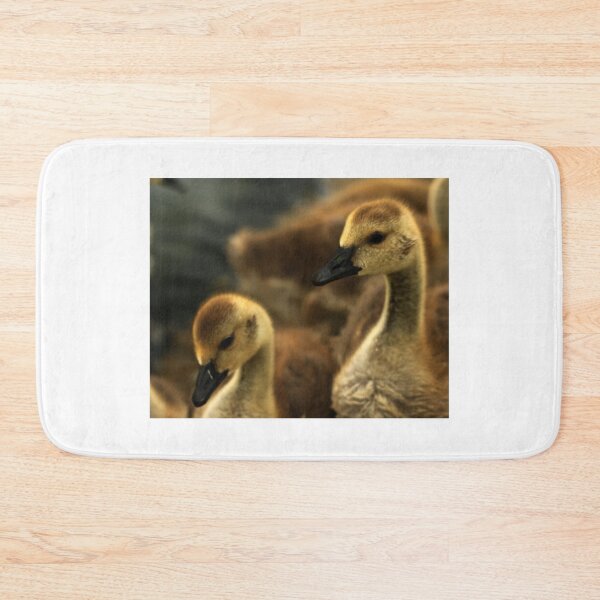 Item preview, Goslings 1 designed and sold by Fazzle14711.