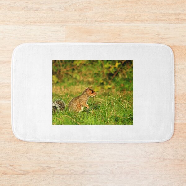 Item preview, As free as a. Squirrel??? designed and sold by Fazzle14711.