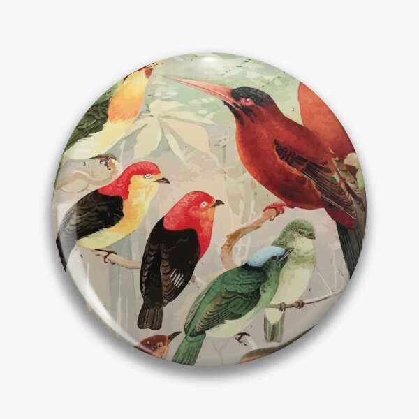 Item preview, Birds of the Amazon Album de aves amazonicas Emil Goldi 1906 029 Arirambas da matta virgem Uira puru diversos Sahy designed and sold by WetdryvacRB01.