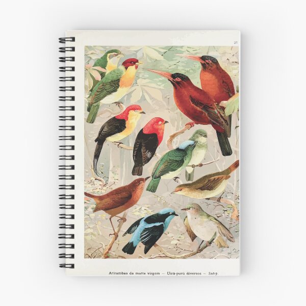 Item preview, Birds of the Amazon Album de aves amazonicas Emil Goldi 1906 029 Arirambas da matta virgem Uira puru diversos Sahy designed and sold by WetdryvacRB01.