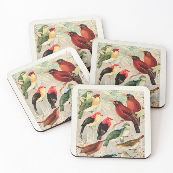 Item preview, Birds of the Amazon Album de aves amazonicas Emil Goldi 1906 029 Arirambas da matta virgem Uira puru diversos Sahy designed and sold by WetdryvacRB01.