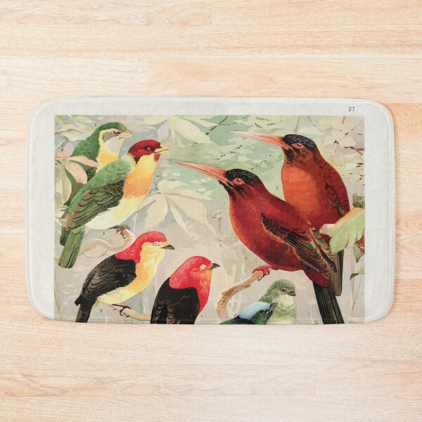 Item preview, Birds of the Amazon Album de aves amazonicas Emil Goldi 1906 029 Arirambas da matta virgem Uira puru diversos Sahy designed and sold by WetdryvacRB01.