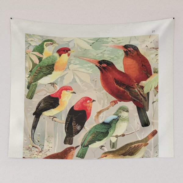 Item preview, Birds of the Amazon Album de aves amazonicas Emil Goldi 1906 029 Arirambas da matta virgem Uira puru diversos Sahy designed and sold by WetdryvacRB01.