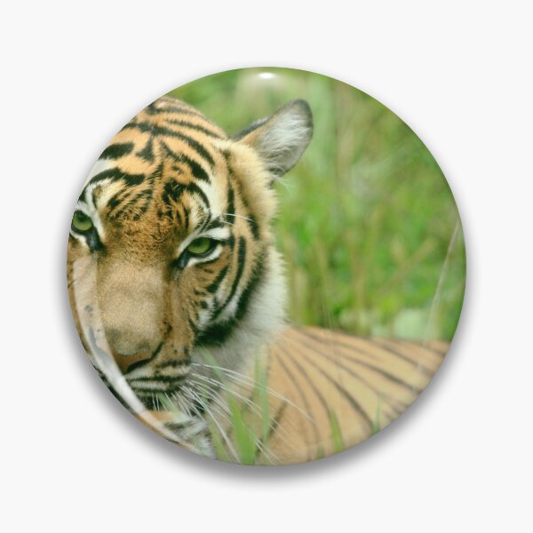 Item preview, Seductive Tigress designed and sold by TVD-Photography.