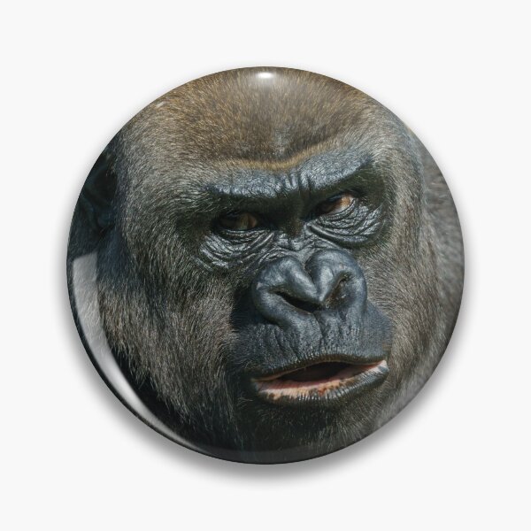 Artikelvorschau, Gorilla-Mutter entworfen und verkauft von rawshutterbug.