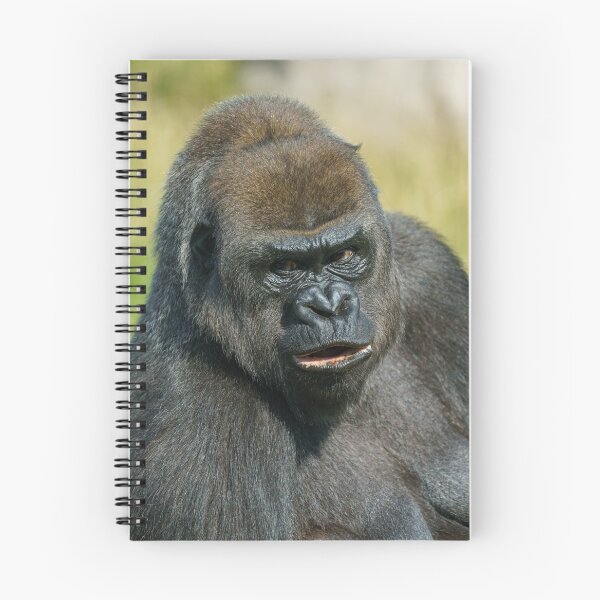 Item preview, Gorilla Mother designed and sold by rawshutterbug.