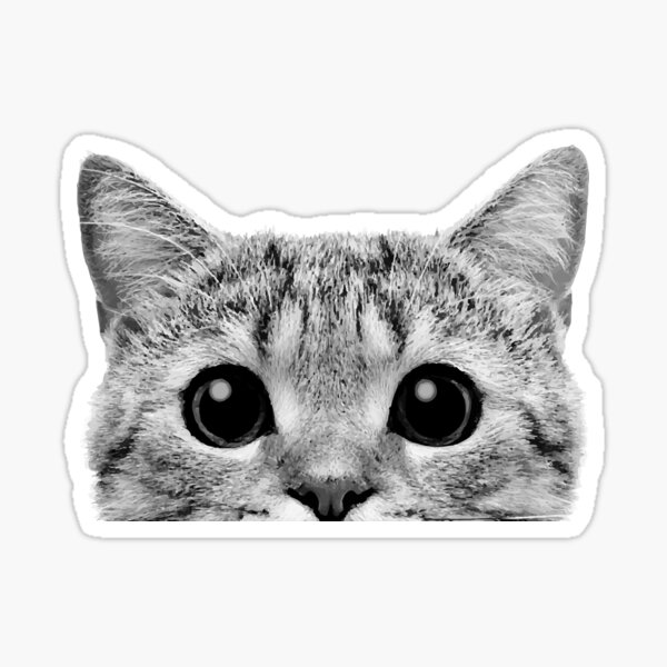 Peeking cute cat Sticker