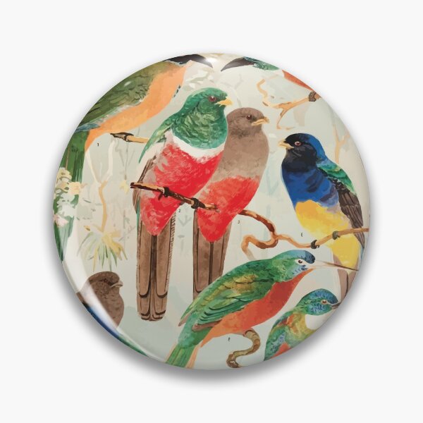 Item preview, Birds of the Amazon Album de aves amazonicas Emil Goldi 1906 030 Hudu Surucuas Arirambas da matta virgem designed and sold by WetdryvacRB01.
