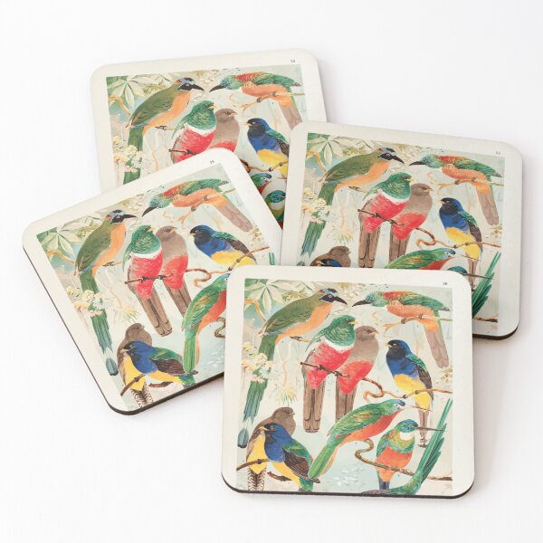 Item preview, Birds of the Amazon Album de aves amazonicas Emil Goldi 1906 030 Hudu Surucuas Arirambas da matta virgem designed and sold by WetdryvacRB01.