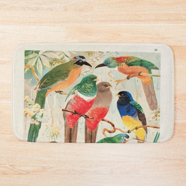 Item preview, Birds of the Amazon Album de aves amazonicas Emil Goldi 1906 030 Hudu Surucuas Arirambas da matta virgem designed and sold by WetdryvacRB01.