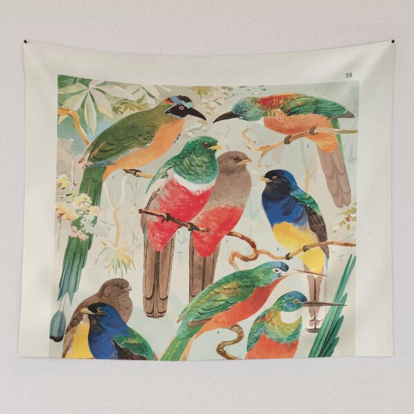 Item preview, Birds of the Amazon Album de aves amazonicas Emil Goldi 1906 030 Hudu Surucuas Arirambas da matta virgem designed and sold by WetdryvacRB01.