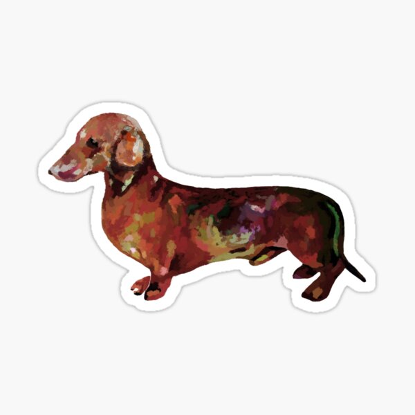 Dachshund dog realistic oil painting art Print Sticker