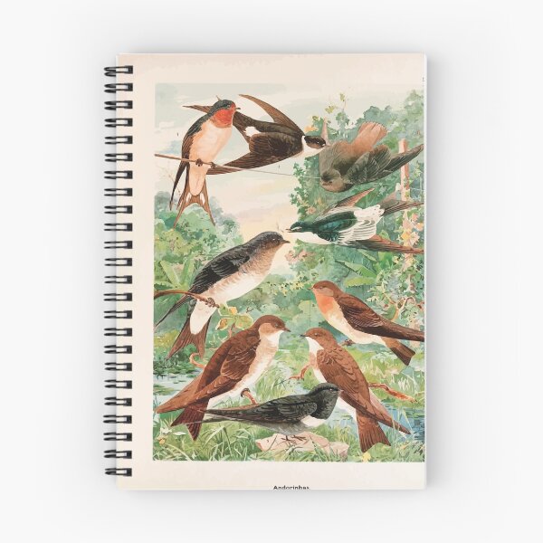 Item preview, Birds of the Amazon Album de aves amazonicas Emil Goldi 1906 031 Andorinhas designed and sold by WetdryvacRB01.