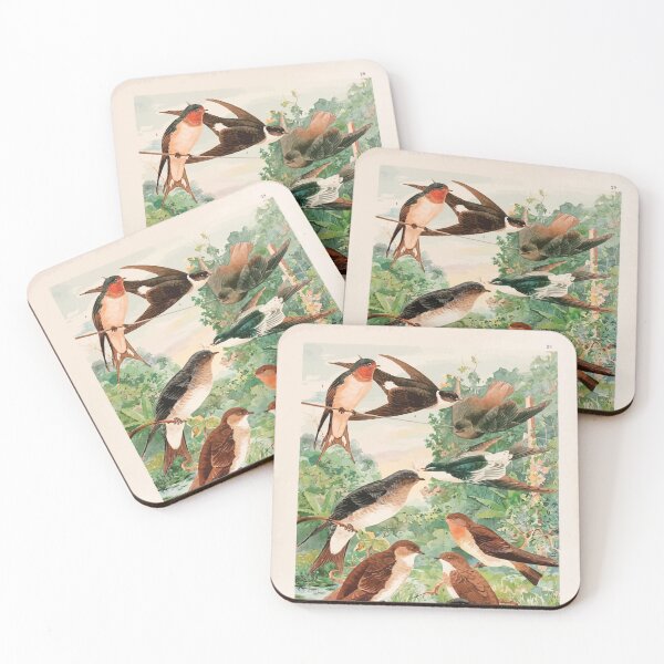Item preview, Birds of the Amazon Album de aves amazonicas Emil Goldi 1906 031 Andorinhas designed and sold by WetdryvacRB01.