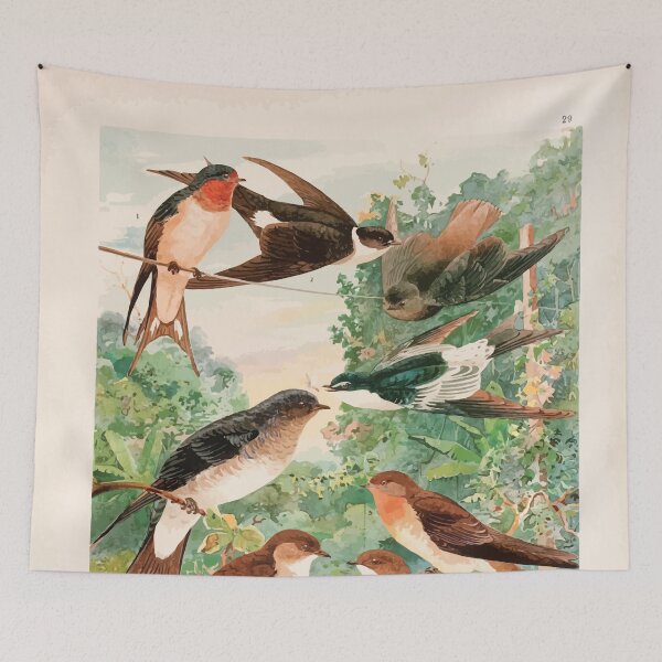 Item preview, Birds of the Amazon Album de aves amazonicas Emil Goldi 1906 031 Andorinhas designed and sold by WetdryvacRB01.