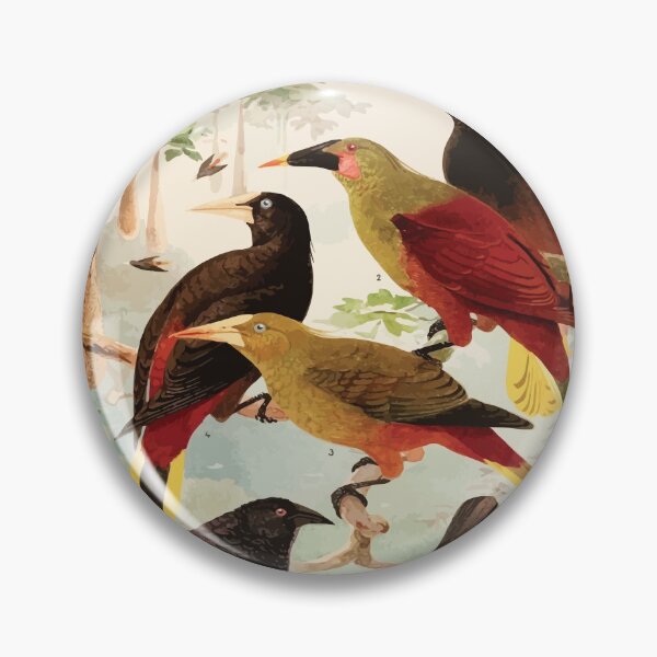 Item preview, Birds of the Amazon Album de aves amazonicas Emil Goldi 1906 032 Japus Irauna Gauche designed and sold by WetdryvacRB01.