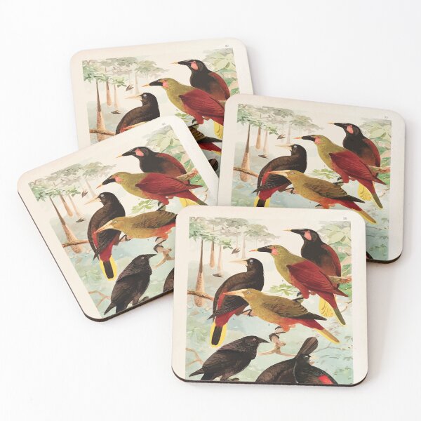 Item preview, Birds of the Amazon Album de aves amazonicas Emil Goldi 1906 032 Japus Irauna Gauche designed and sold by WetdryvacRB01.