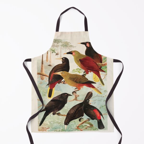 Item preview, Birds of the Amazon Album de aves amazonicas Emil Goldi 1906 032 Japus Irauna Gauche designed and sold by WetdryvacRB01.