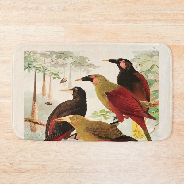 Item preview, Birds of the Amazon Album de aves amazonicas Emil Goldi 1906 032 Japus Irauna Gauche designed and sold by WetdryvacRB01.