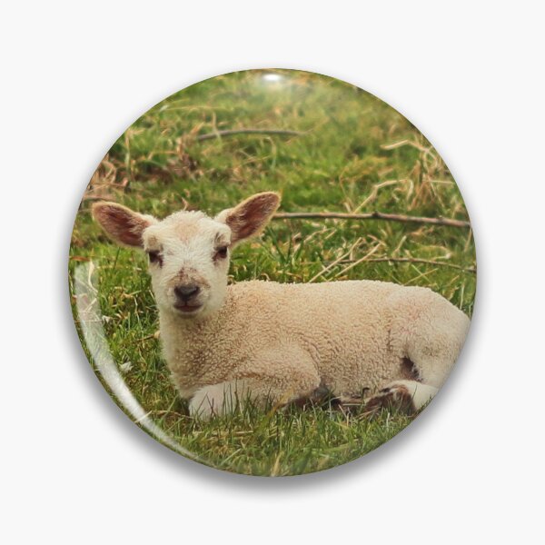Item preview, Little Lamby designed and sold by Fazzle14711.