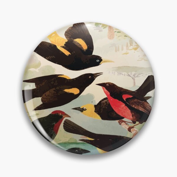 Item preview, Birds of the Amazon Album de aves amazonicas Emil Goldi 1906 033 Japiim Rouxinol Policia Ningleza Ira taua Ira una Vira bosta designed and sold by WetdryvacRB01.