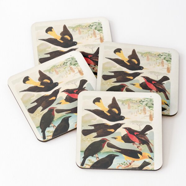 Item preview, Birds of the Amazon Album de aves amazonicas Emil Goldi 1906 033 Japiim Rouxinol Policia Ningleza Ira taua Ira una Vira bosta designed and sold by WetdryvacRB01.