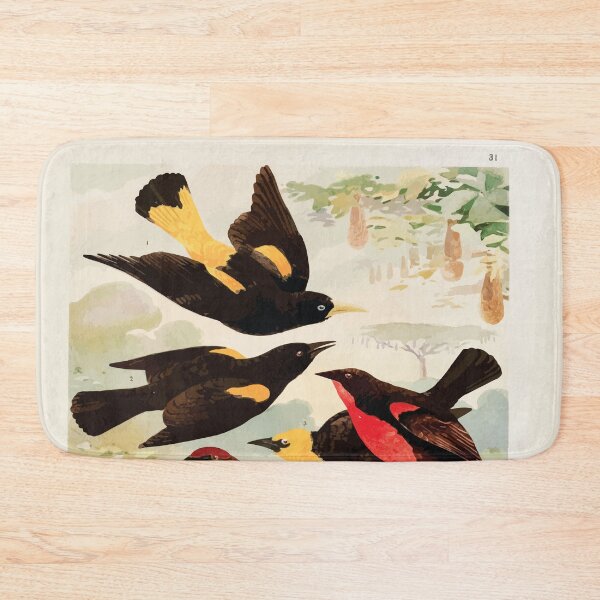 Item preview, Birds of the Amazon Album de aves amazonicas Emil Goldi 1906 033 Japiim Rouxinol Policia Ningleza Ira taua Ira una Vira bosta designed and sold by WetdryvacRB01.