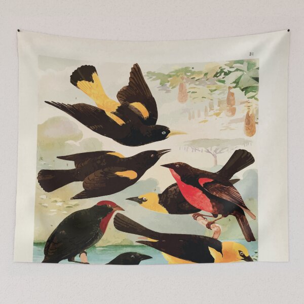 Item preview, Birds of the Amazon Album de aves amazonicas Emil Goldi 1906 033 Japiim Rouxinol Policia Ningleza Ira taua Ira una Vira bosta designed and sold by WetdryvacRB01.