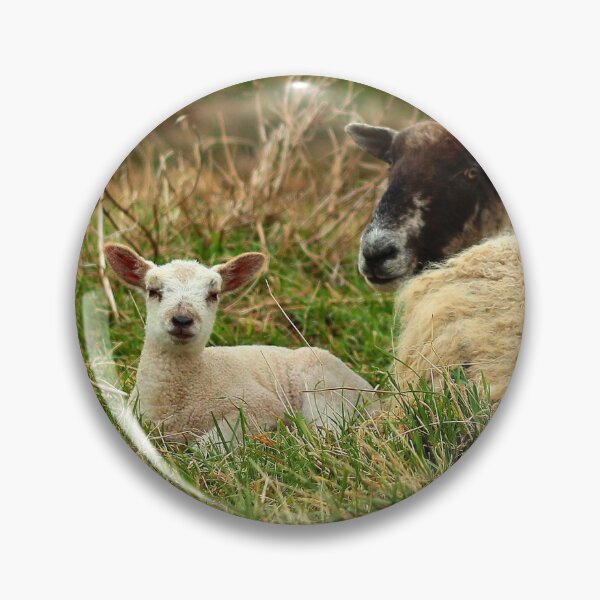 Item preview, Larry the lamb with mum designed and sold by Fazzle14711.