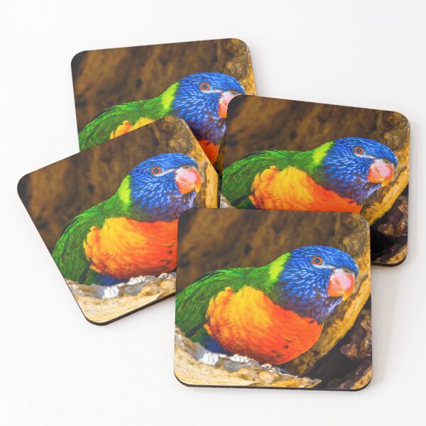 Item preview, Rainbow Lorikeet in a Tree Hollow designed and sold by Steven Jodoin.