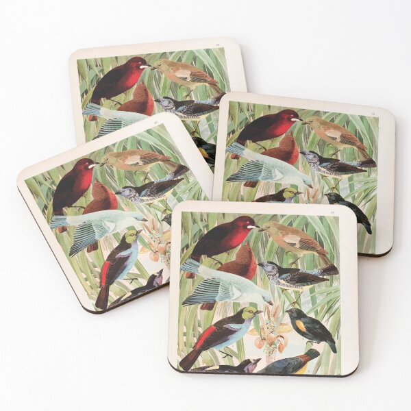 Item preview, Birds of the Amazon Album de aves amazonicas Emil Goldi 1906 034 Pipiras Sahys Tem tems designed and sold by WetdryvacRB01.