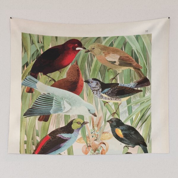 Item preview, Birds of the Amazon Album de aves amazonicas Emil Goldi 1906 034 Pipiras Sahys Tem tems designed and sold by WetdryvacRB01.