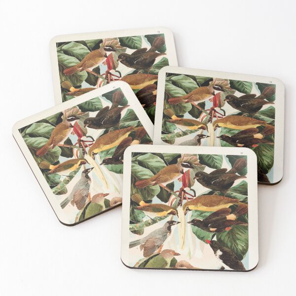 Item preview, Birds of the Amazon Album de aves amazonicas Emil Goldi 1906 035 Pipiras designed and sold by WetdryvacRB01.