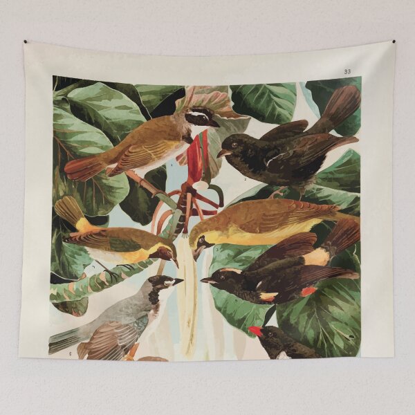 Item preview, Birds of the Amazon Album de aves amazonicas Emil Goldi 1906 035 Pipiras designed and sold by WetdryvacRB01.