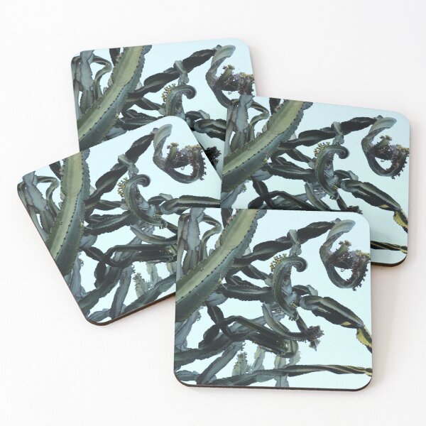 Item preview, Cactus Euphorbia, study 2 designed and sold by Geoff Treagus.