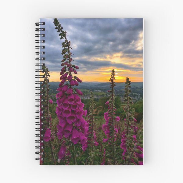 Item preview, Sunset from the Eildon Hills, Scottish Borders designed and sold by yourscotborders.