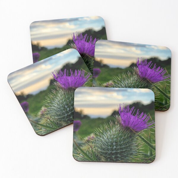 Item preview, Sunset thistle near Selkirk, Scottish Borders designed and sold by yourscotborders.