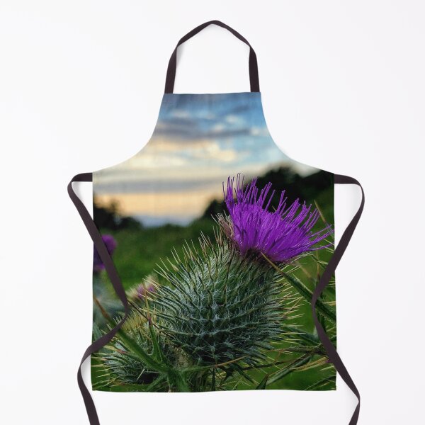 Item preview, Sunset thistle near Selkirk, Scottish Borders designed and sold by yourscotborders.
