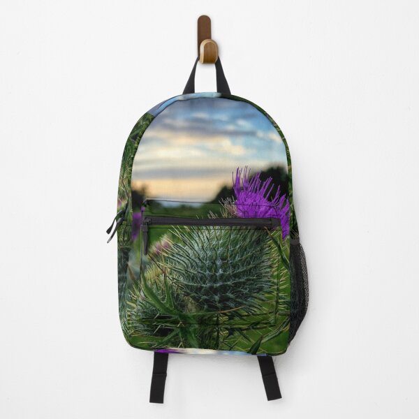 Item preview, Sunset thistle near Selkirk, Scottish Borders designed and sold by yourscotborders.