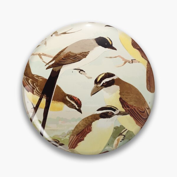 Item preview, Birds of the Amazon Album de aves amazonicas Emil Goldi 1906 036 Tesoura Bemtevis Maria e dia Bemtevis miudos designed and sold by WetdryvacRB01.