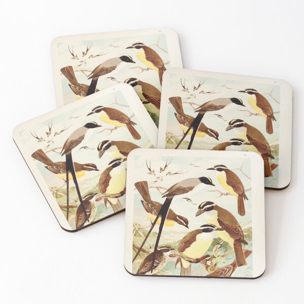 Item preview, Birds of the Amazon Album de aves amazonicas Emil Goldi 1906 036 Tesoura Bemtevis Maria e dia Bemtevis miudos designed and sold by WetdryvacRB01.