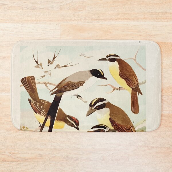 Item preview, Birds of the Amazon Album de aves amazonicas Emil Goldi 1906 036 Tesoura Bemtevis Maria e dia Bemtevis miudos designed and sold by WetdryvacRB01.