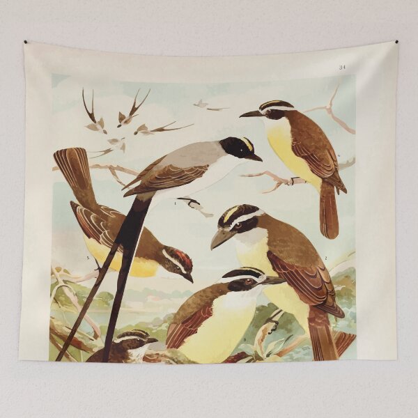 Item preview, Birds of the Amazon Album de aves amazonicas Emil Goldi 1906 036 Tesoura Bemtevis Maria e dia Bemtevis miudos designed and sold by WetdryvacRB01.