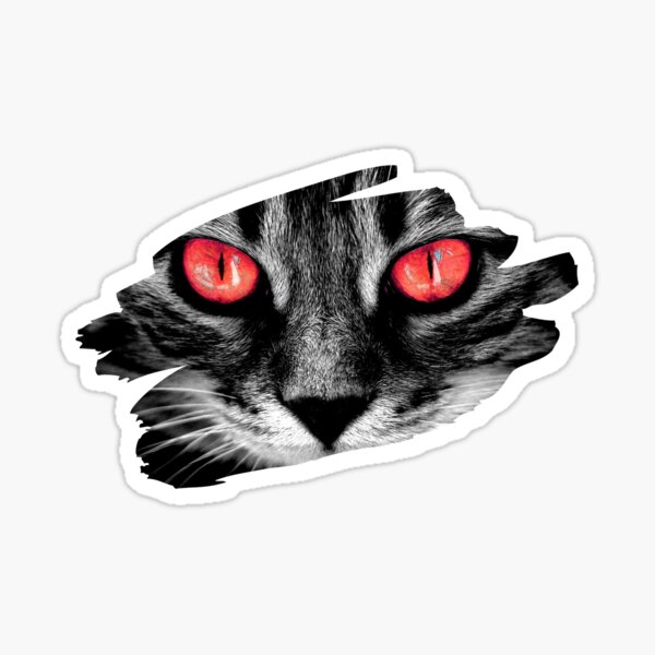 Cat Scratch Stickers Redbubble