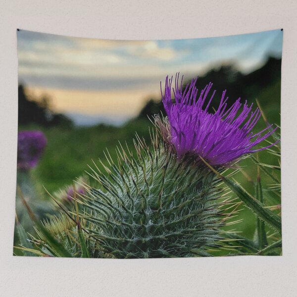 Item preview, Sunset thistle near Selkirk, Scottish Borders designed and sold by yourscotborders.