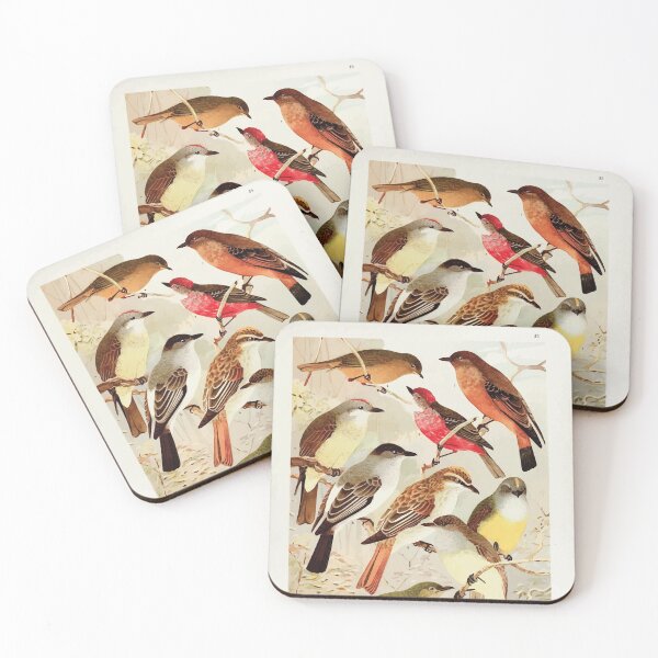 Item preview, Birds of the Amazon Album de aves amazonicas Emil Goldi 1906 037 Bemtevis designed and sold by WetdryvacRB01.