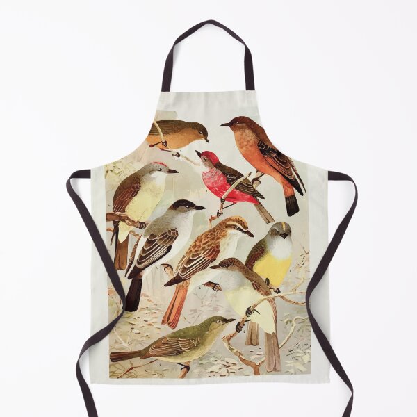 Item preview, Birds of the Amazon Album de aves amazonicas Emil Goldi 1906 037 Bemtevis designed and sold by WetdryvacRB01.